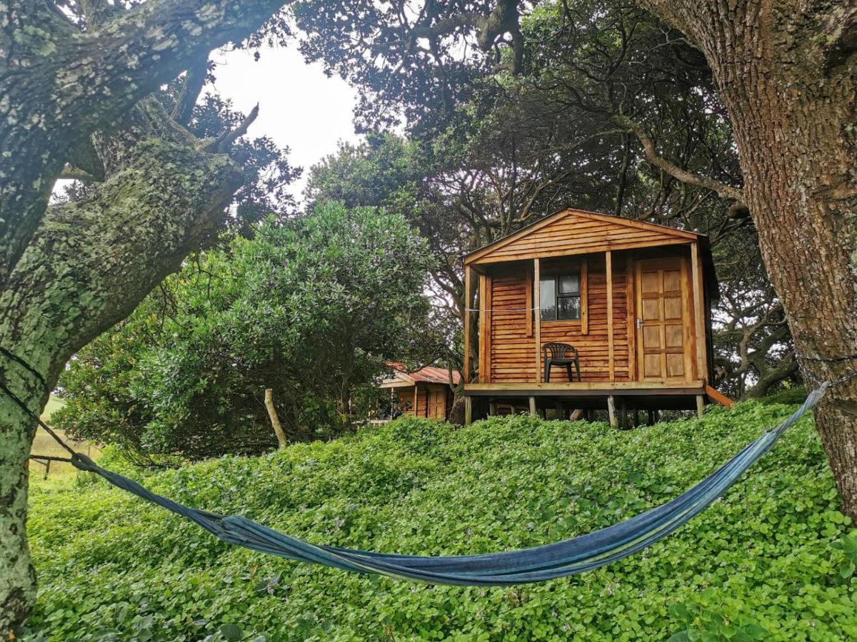Bulungula Xhosa Community Lodge Chambre photo